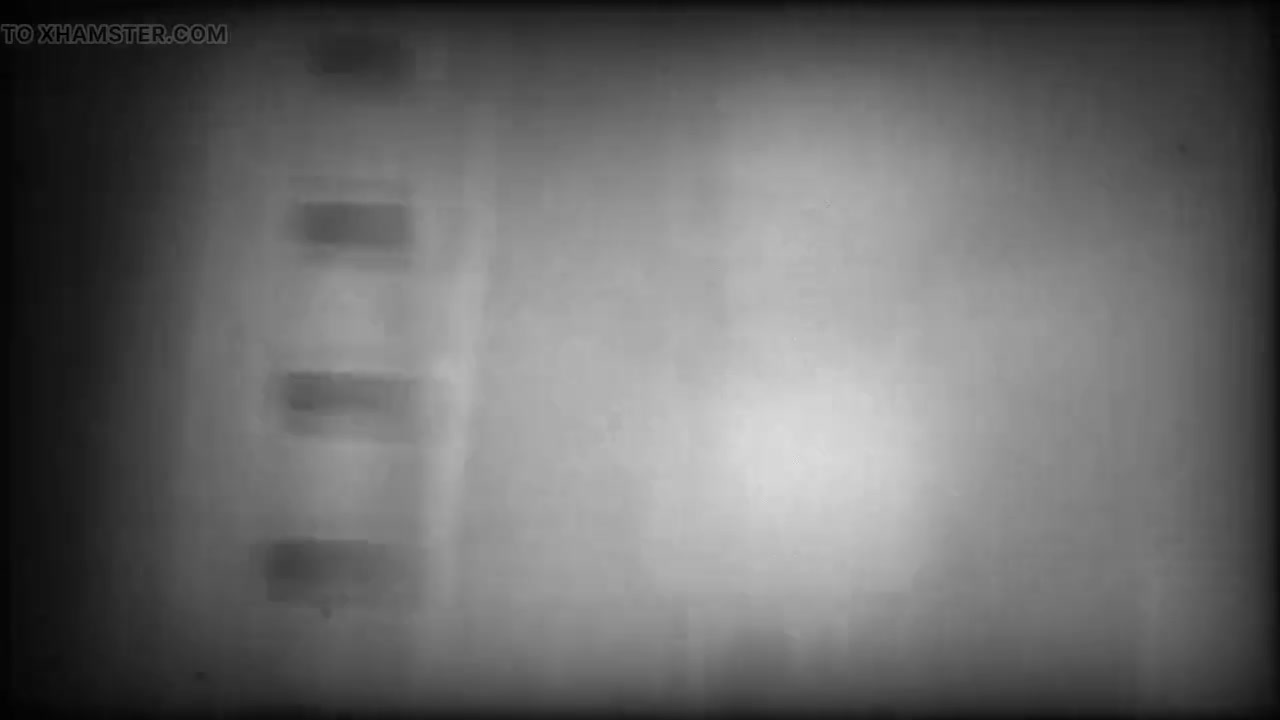 Tobie Nash and Wellington King Star in, the Governess. Our Homage to "stag Films"!