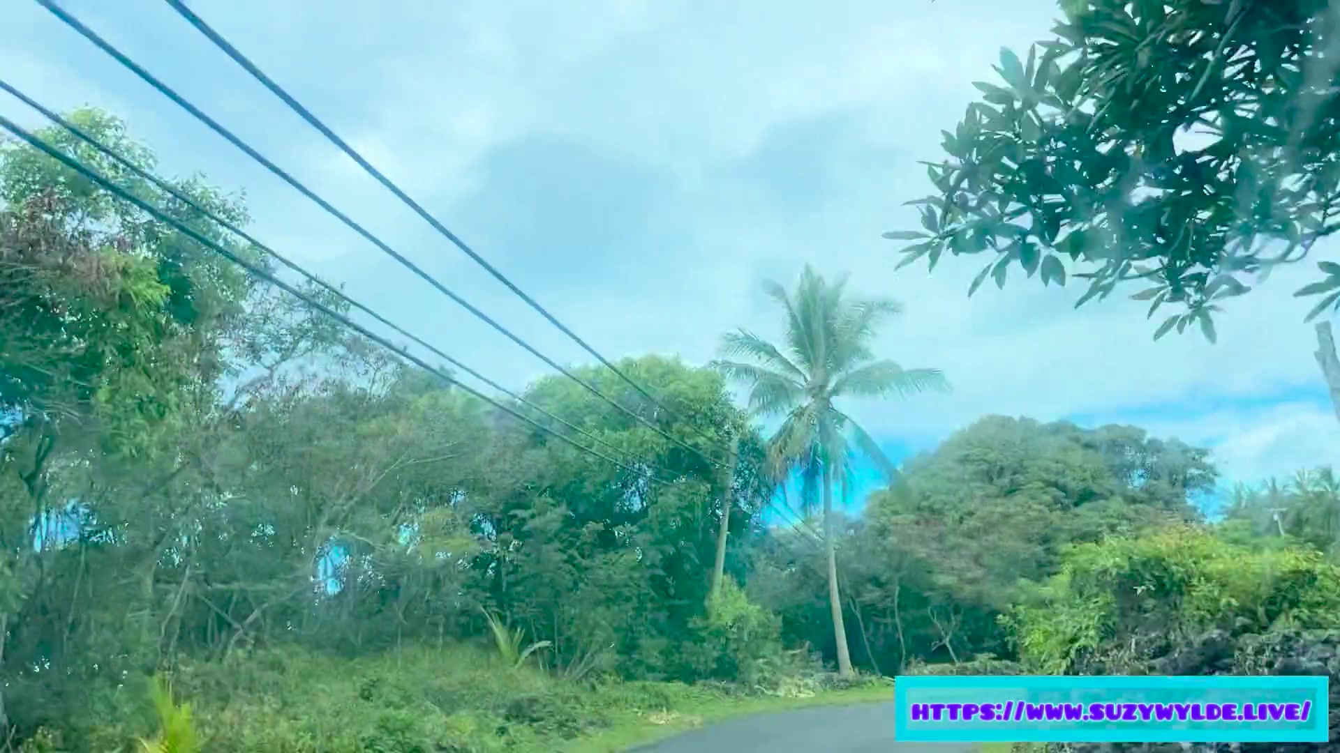 Sfw Road Trip to Hana for Suzy Wylde in Waimoku Falls, Maui