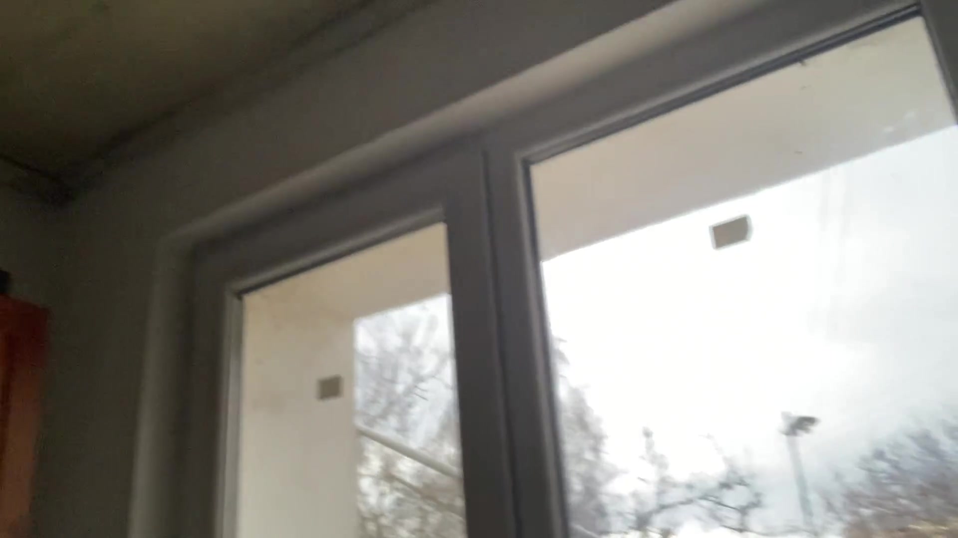 Big ass for all my fans