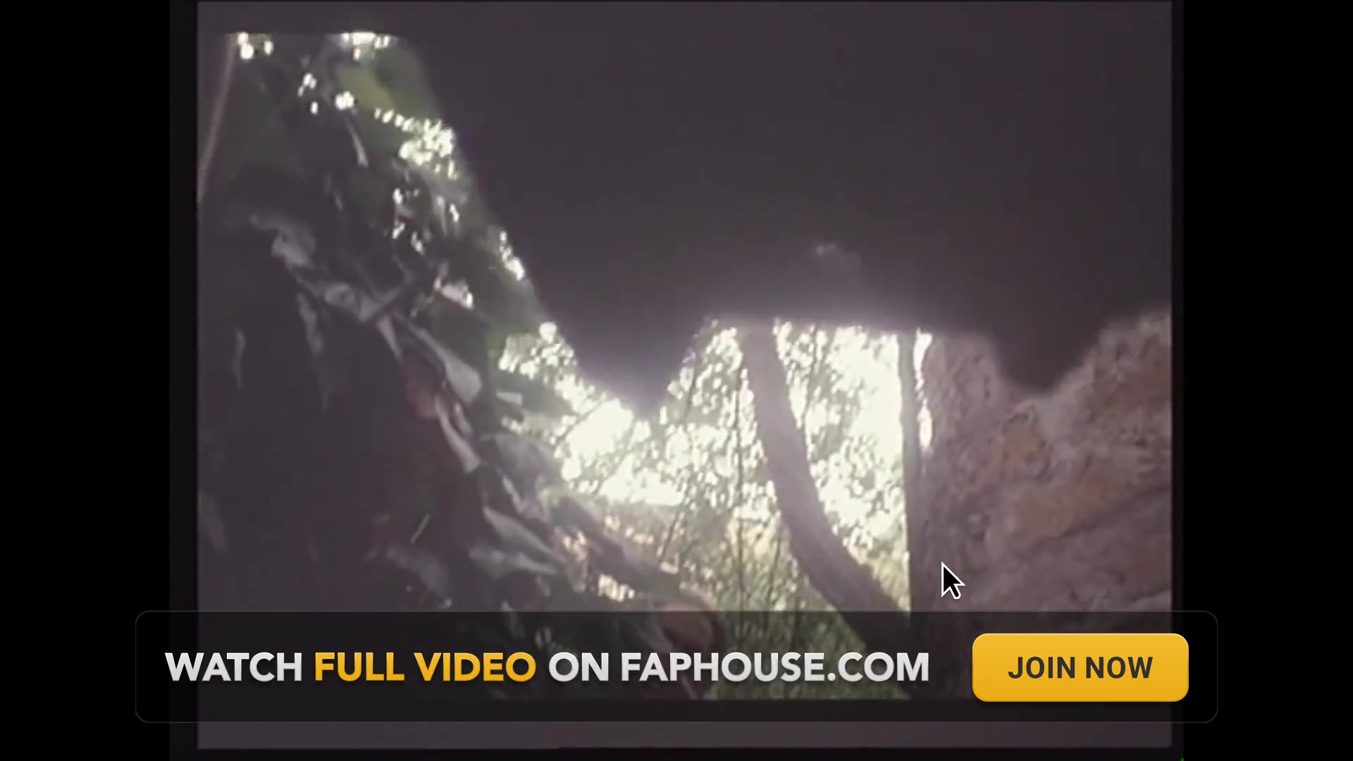 The Doctor and the Patient