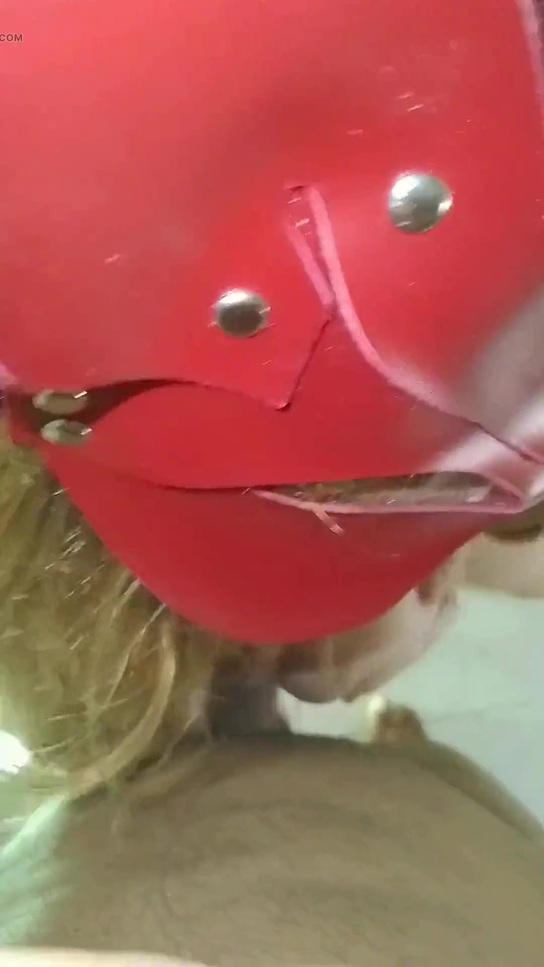 Exactly What She Did Today Receiving These Two Well-endowed Who Punched Her Rod to the Stalk