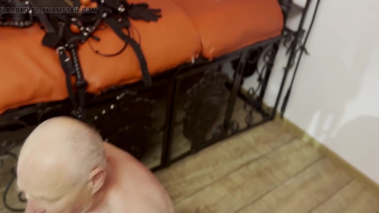 Clamps on the old slaves tongue 496