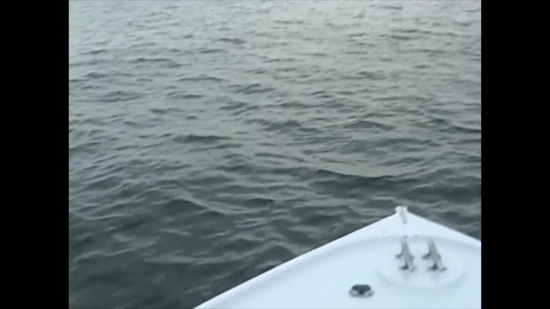 Three Lesbians on a Boat Get It for Each Other.