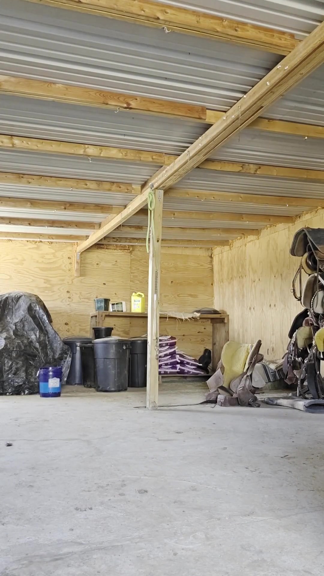 Redhead Strips Naked Outside Shoaing Iff Bosy, Flexing and Spreading Holes Doing Chores