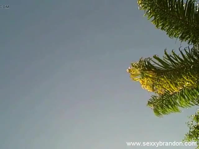 Sexxy Brandon: Pool Fun: Part 3