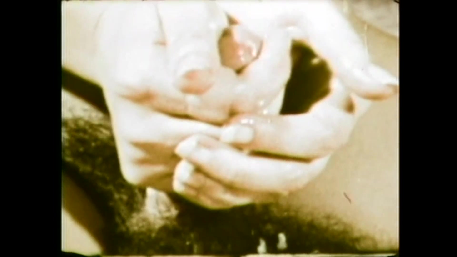 Zandy the Wild Lover