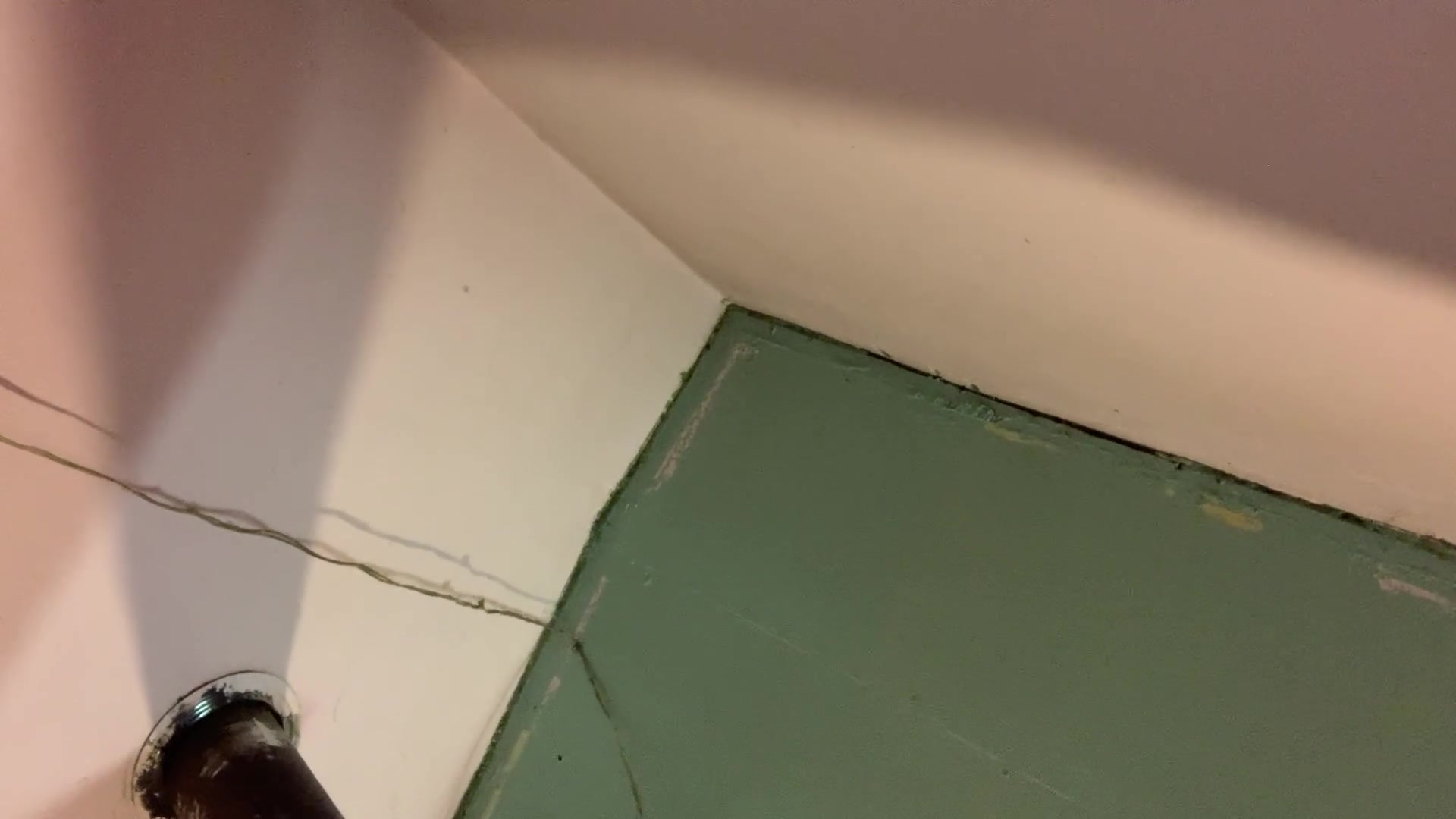 Wet cone on a snowy winter afternoon