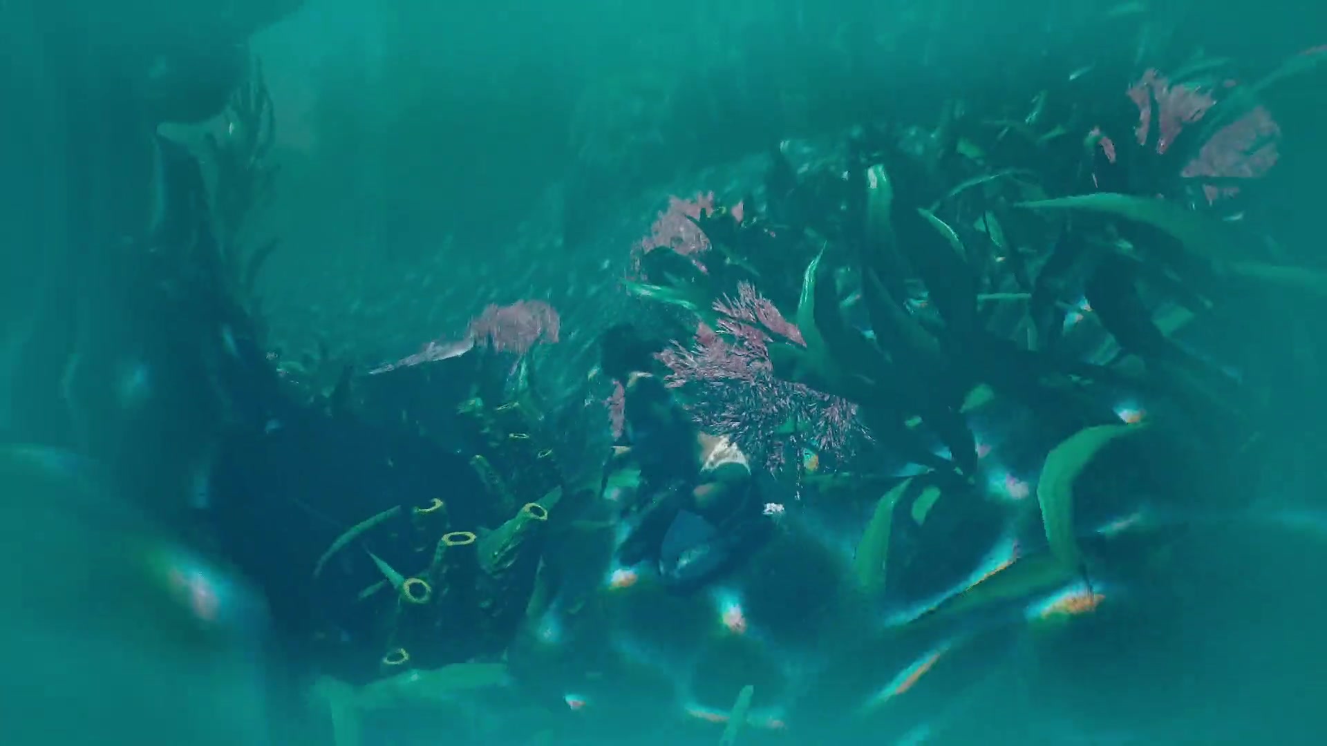 Lara Croft  Ride on statue cock for unlock tomb door. by Animo Pron