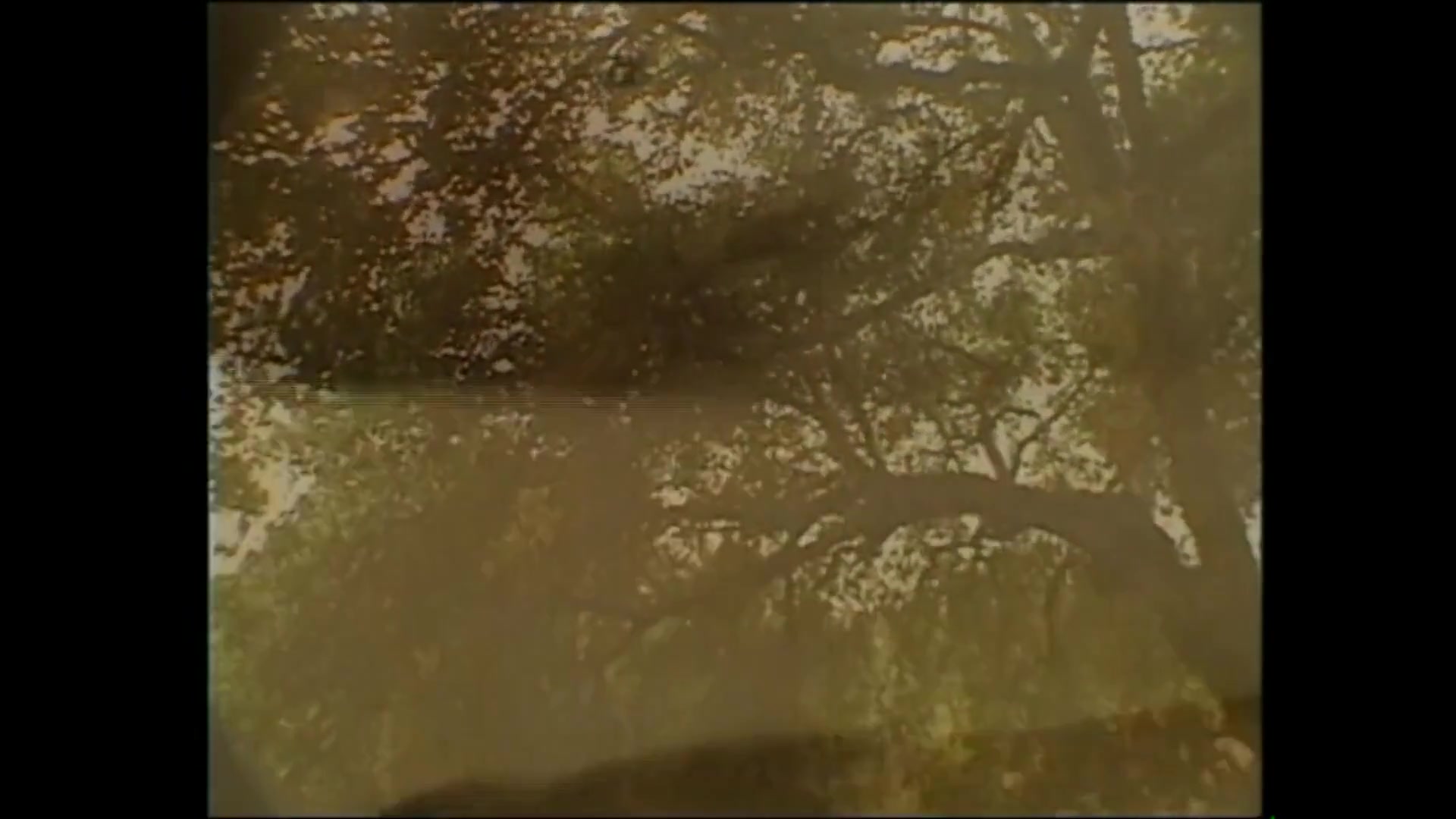 Deep and Strong Inside My Intimacy - (vol. #02)