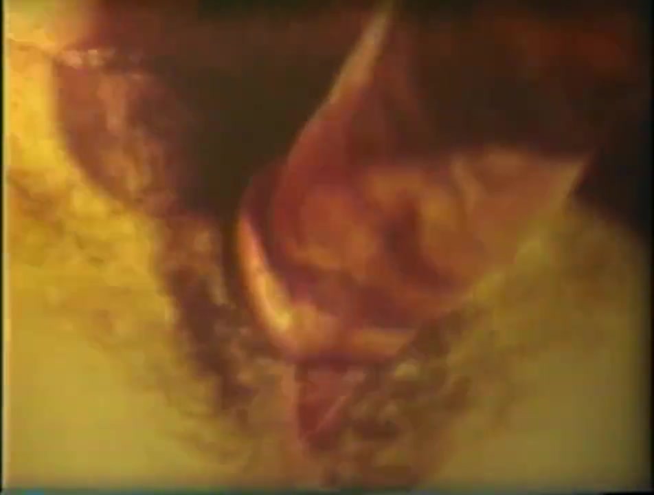 Close up porno from the 60's