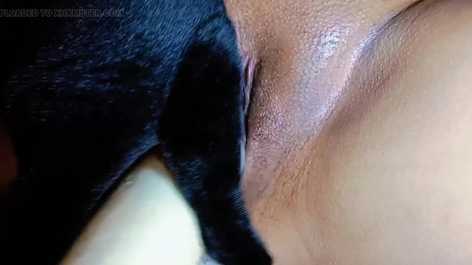 Bella Khalifa Using Radish Tonight for Pleasure and Masturbate