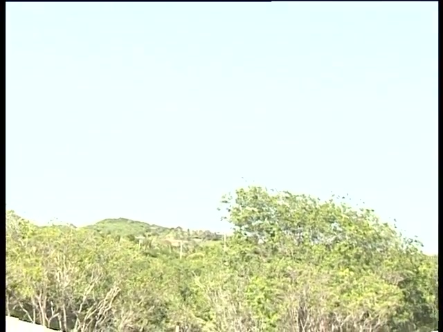 Busty blonde babe gets fucked and jizzed outdoors