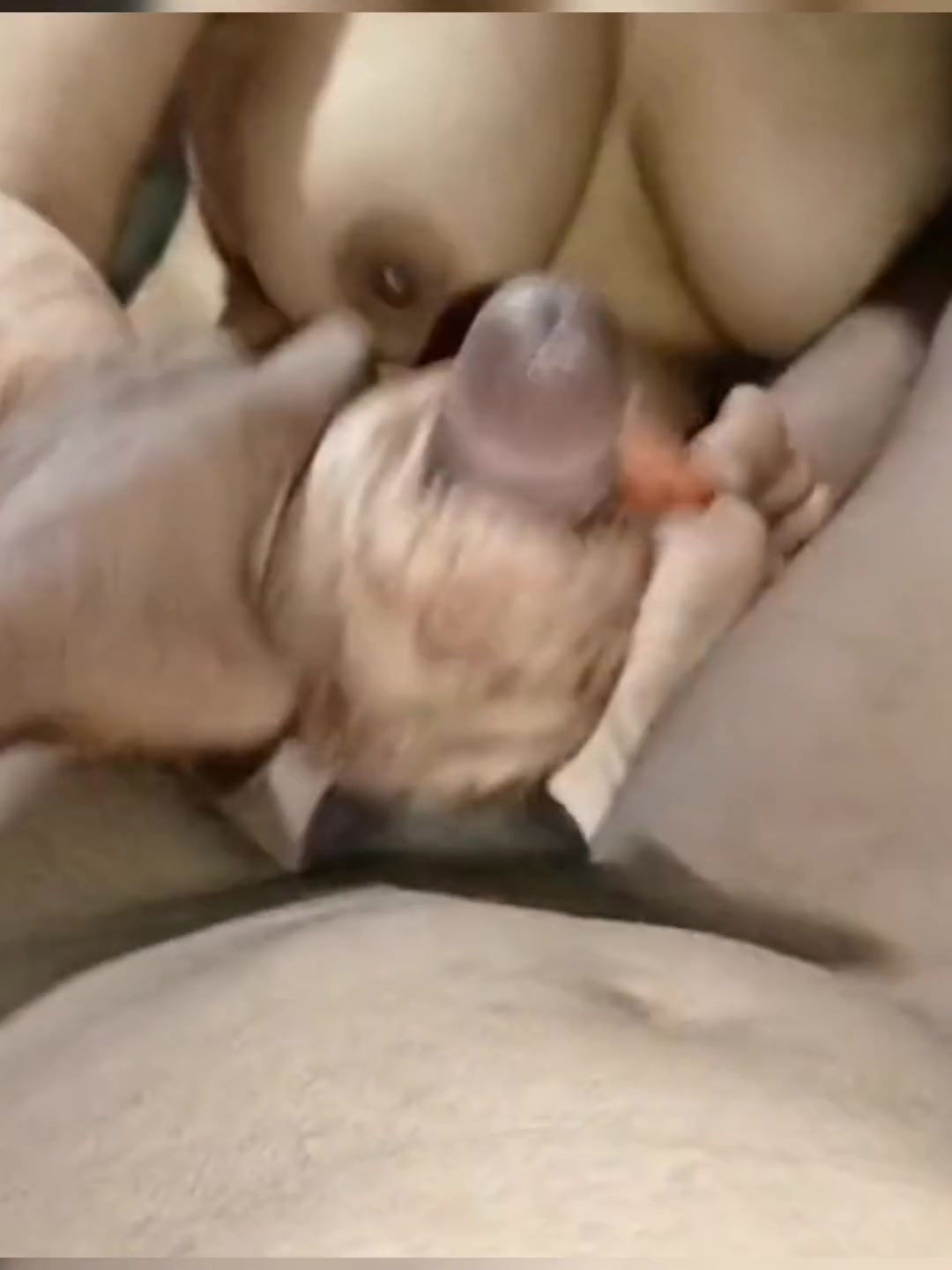 Season 38. Indian Hot Sexy Masterbate Boyfriend Cock