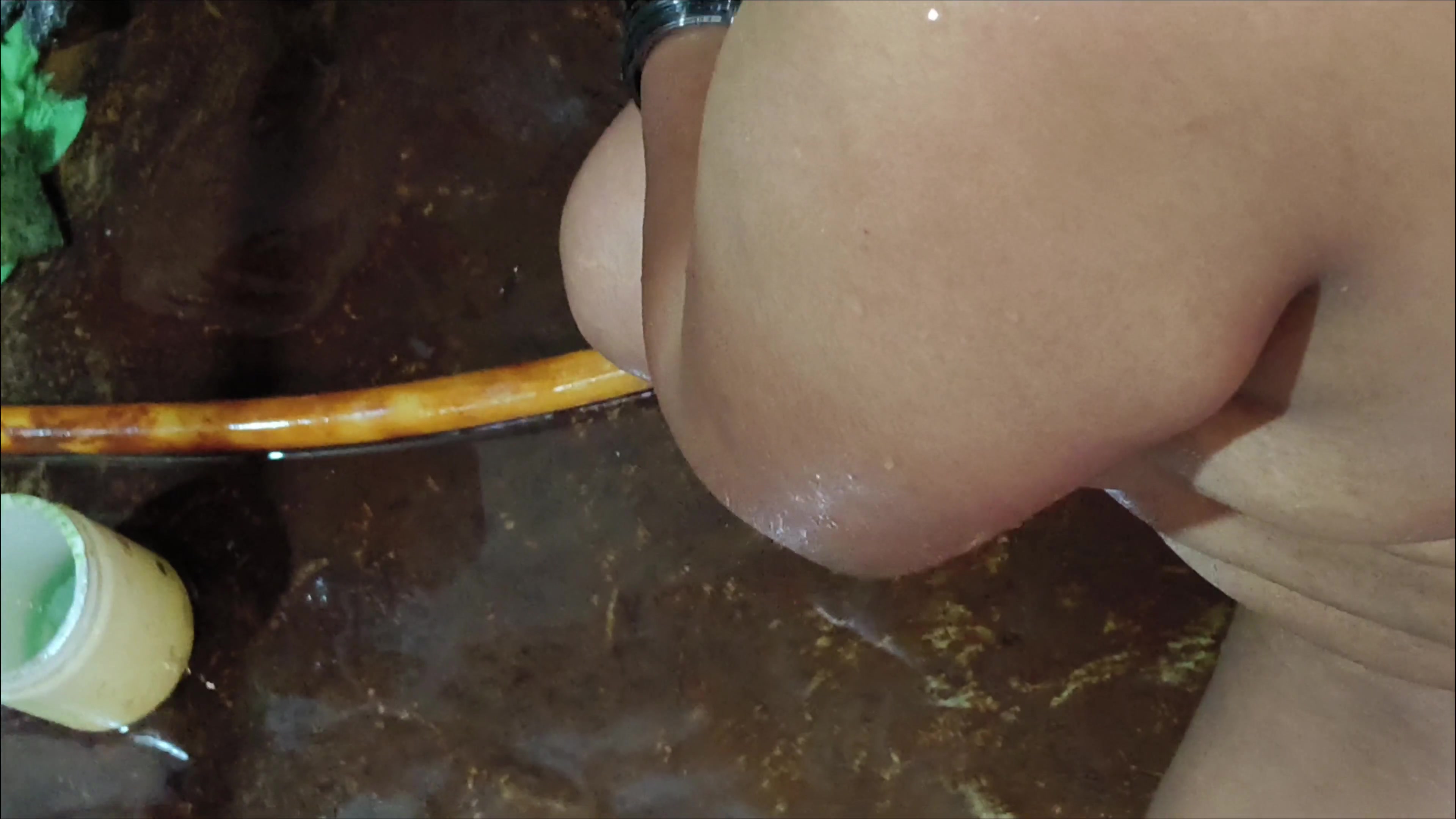 Desi indian village bhabhi pussy