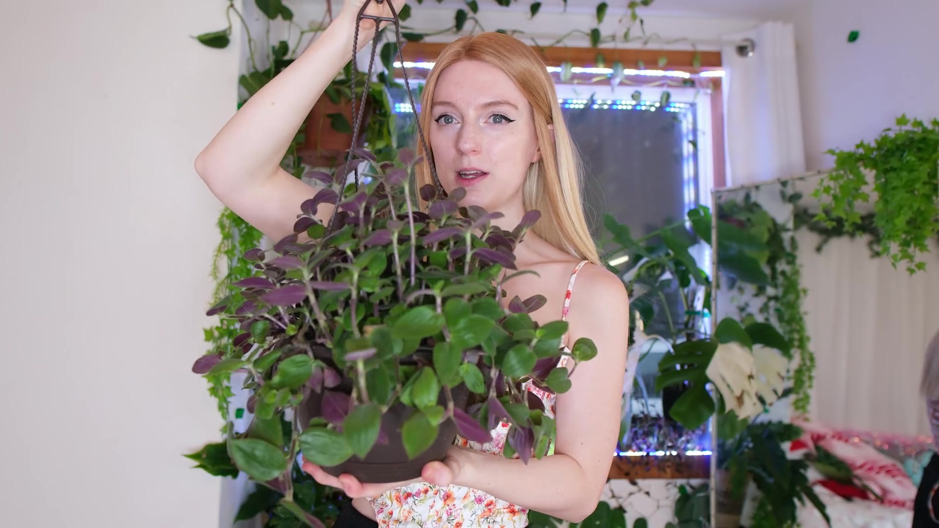 The Plants I Got For Christmas