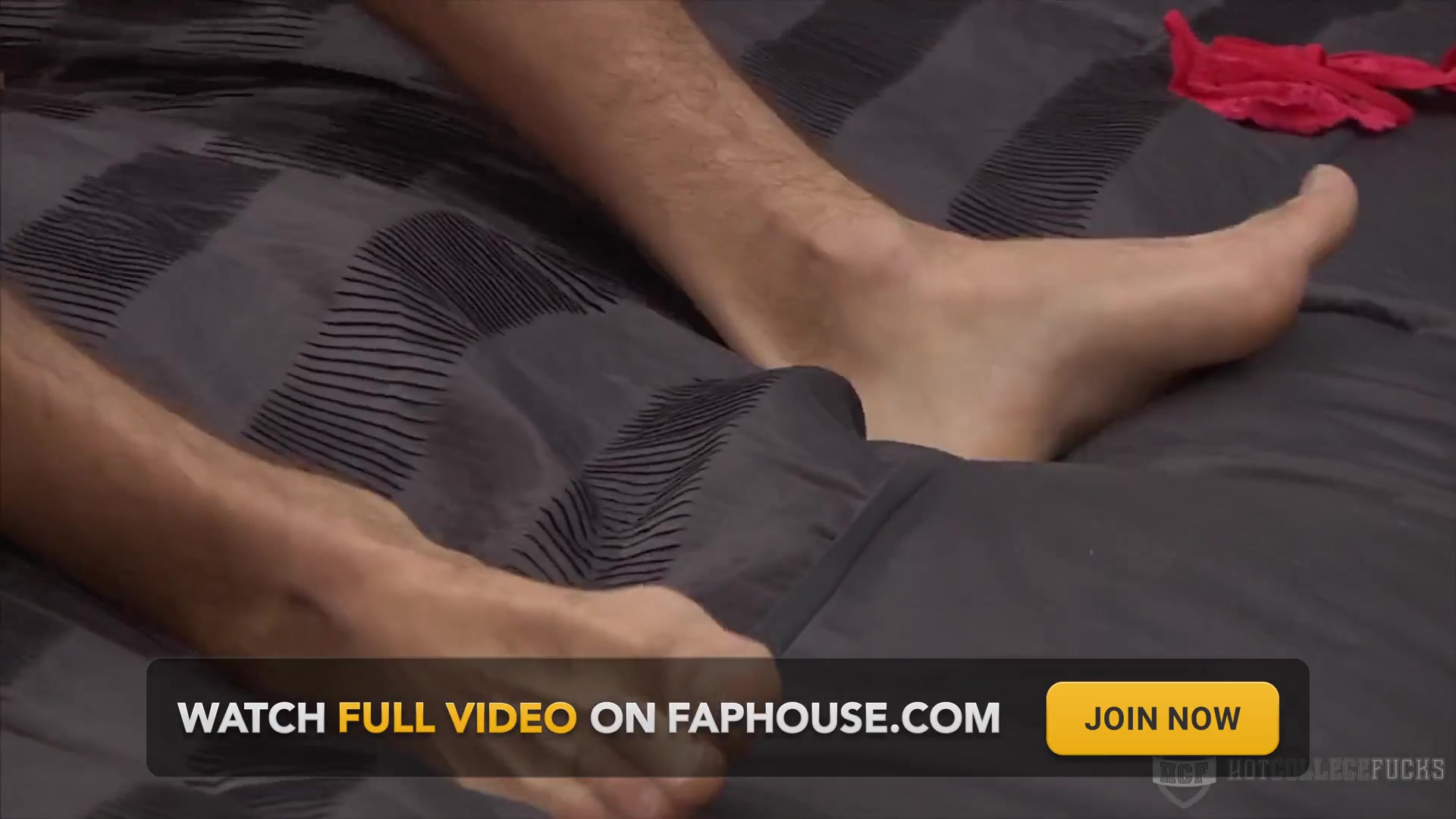 Ashley Breaks in Zeb