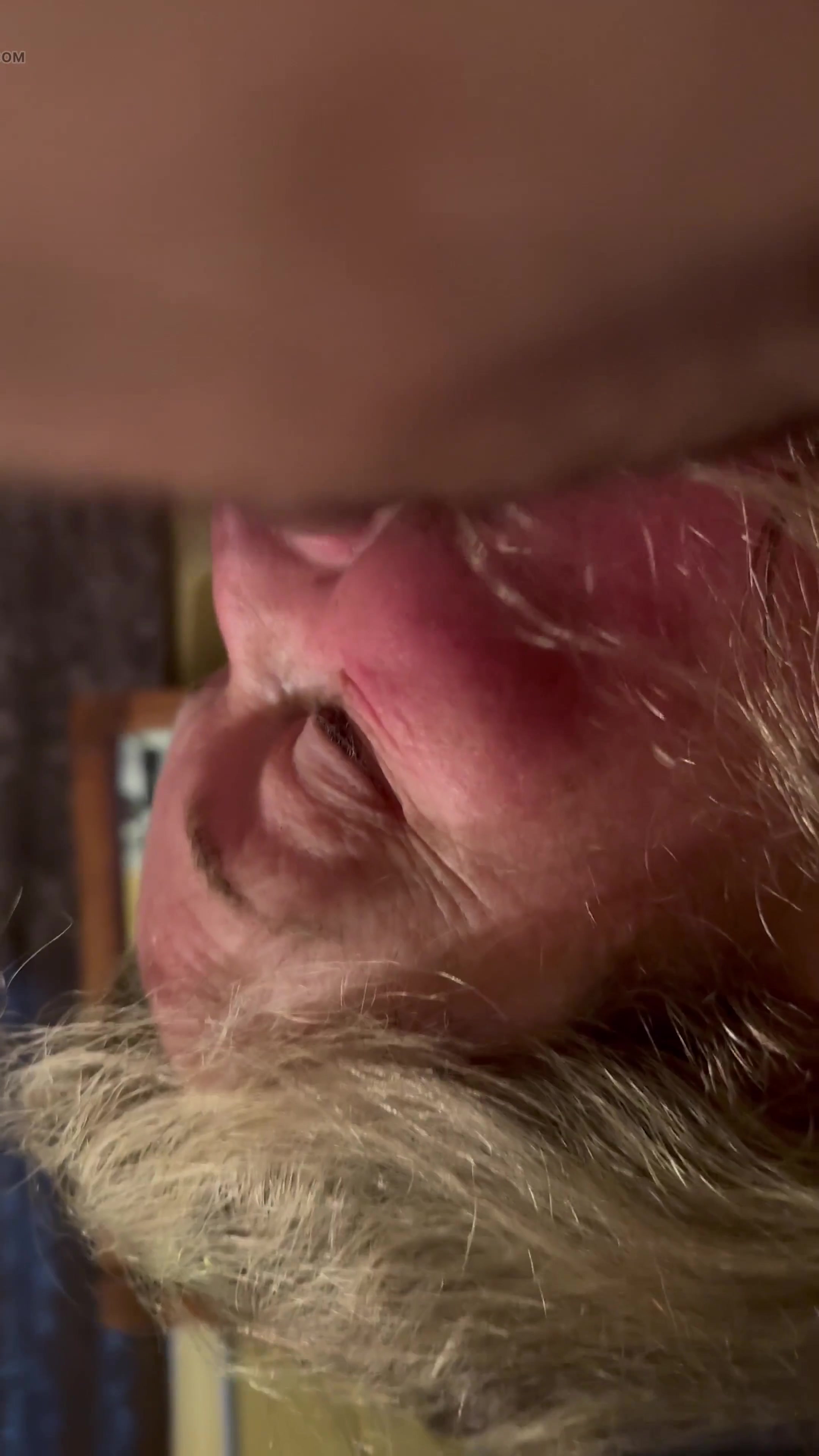 Daddy Strokes His Cock, Bonemaiden Strips and Sucks