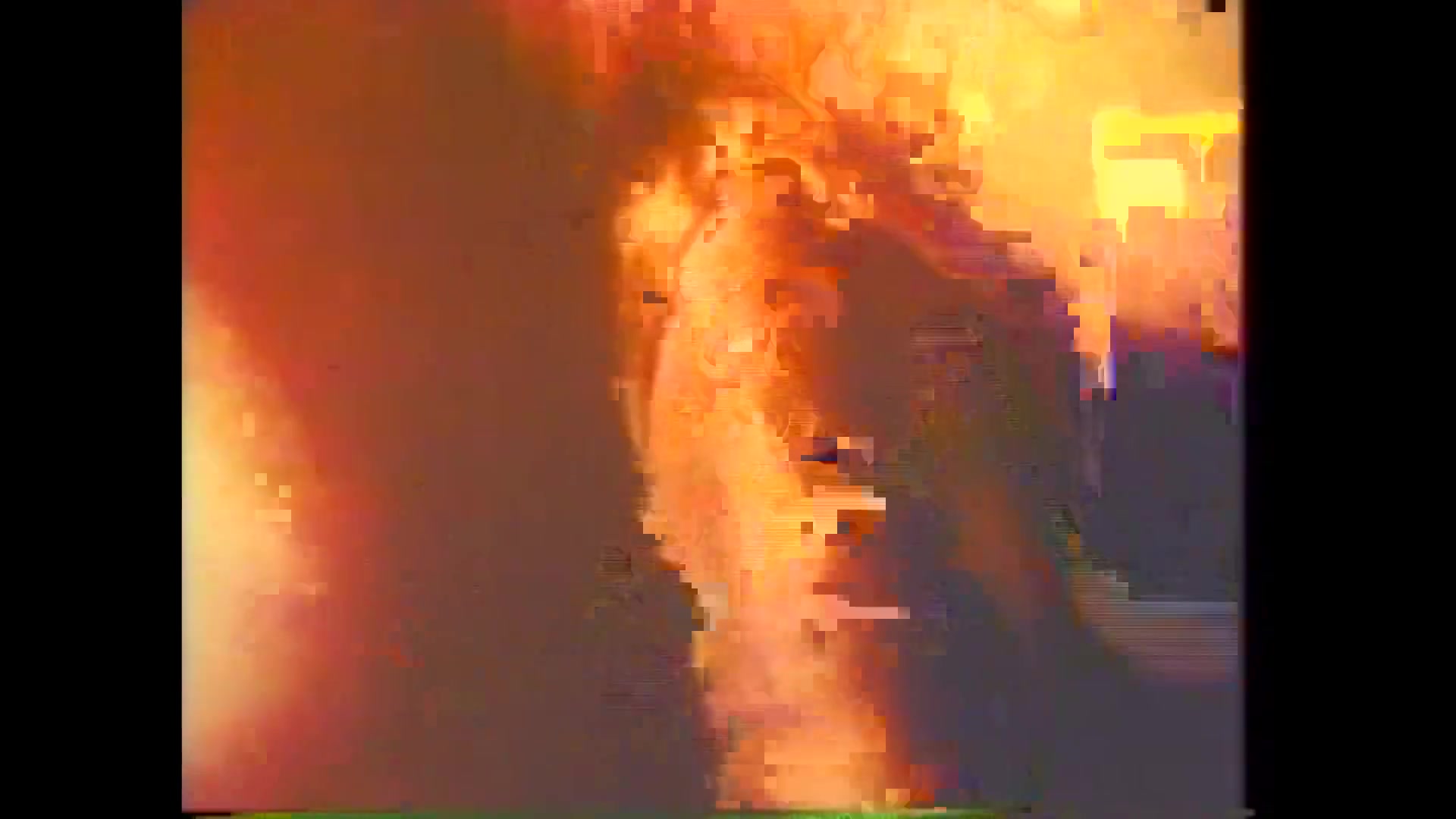 Disgusting Aphrodisiac Games