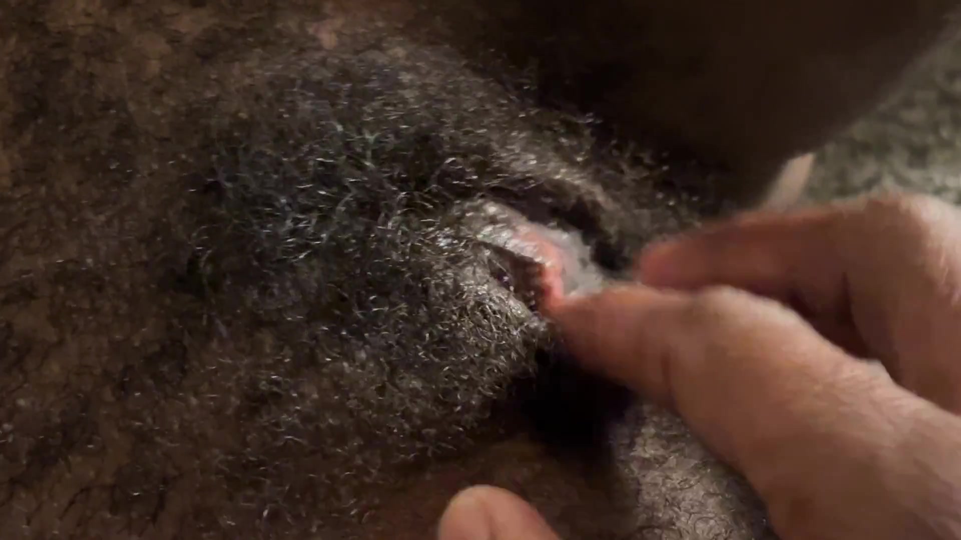 My neighbor is a pervert vol #1