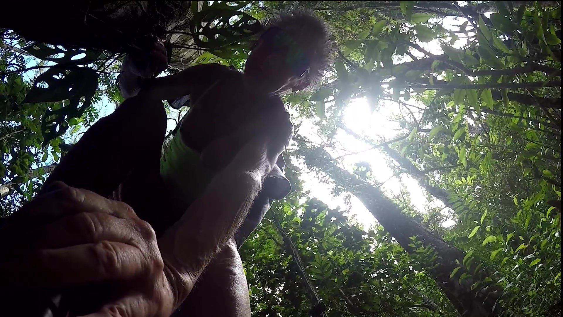 Two Senior Citizens Seeing if They Can Still Fuck Against a Tree