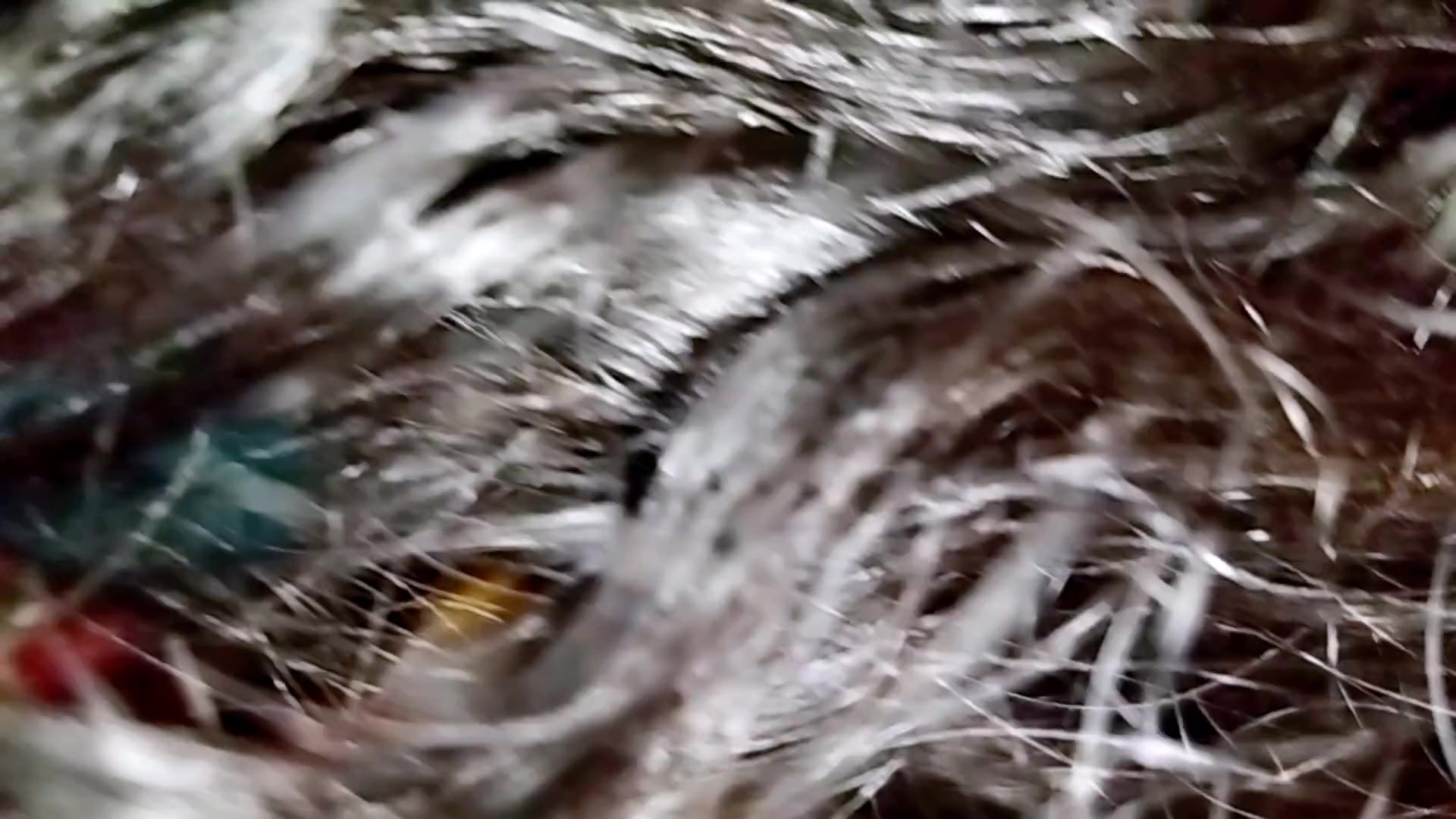 Steamy Bathroom Encounter: Hot Stepmom's Forbidden Lust with Stepson at Home